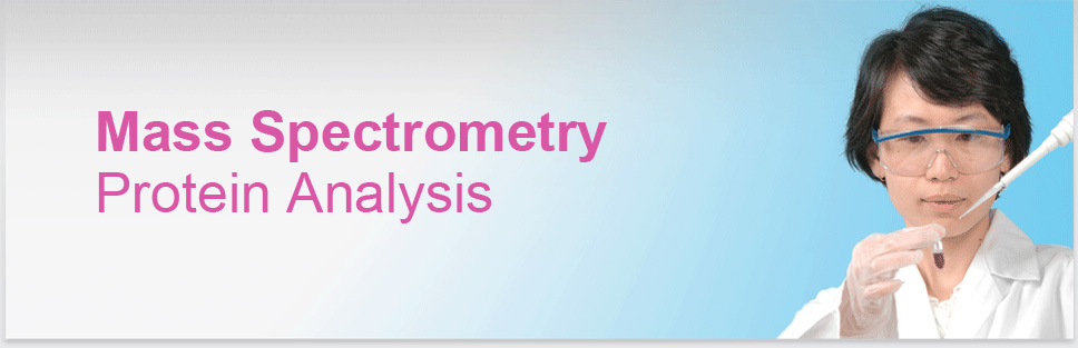 Image Header Protein Services: Mass Spectrometry Protein Analysis